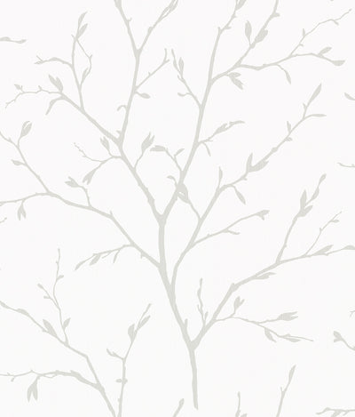 product image of Branching Out Wallpaper in Winter Grey 513