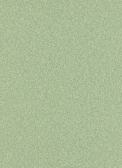 product image of Elspeth Solid Wallpaper in Medium Green design by BD Wall 599