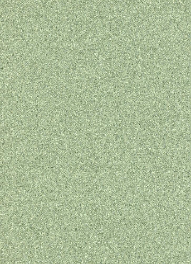 media image for Elspeth Solid Wallpaper in Medium Green design by BD Wall 232