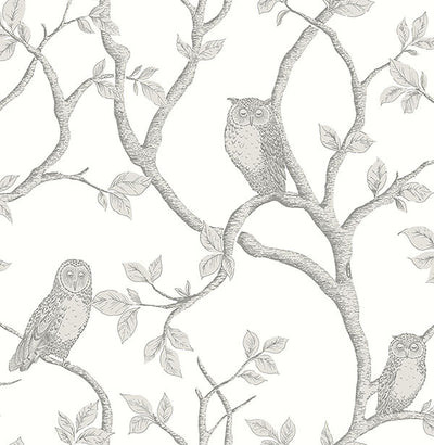 product image for Enchanted Forest Grey Owl & Tree Wallpaper from the Essentials Collection by Brewster Home Fashions 64