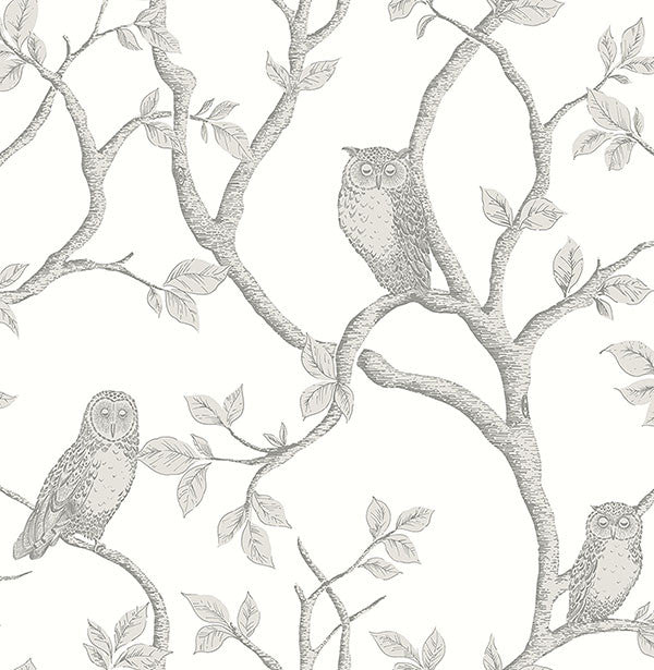 media image for Enchanted Forest Grey Owl & Tree Wallpaper from the Essentials Collection by Brewster Home Fashions 227
