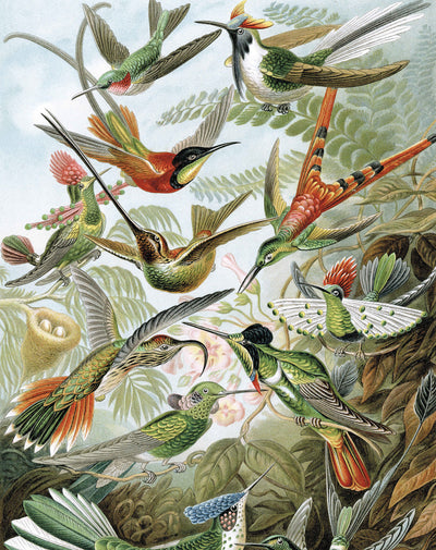 product image for Exotic Birds 023 Wallpaper Panel by KEK Amsterdam 88