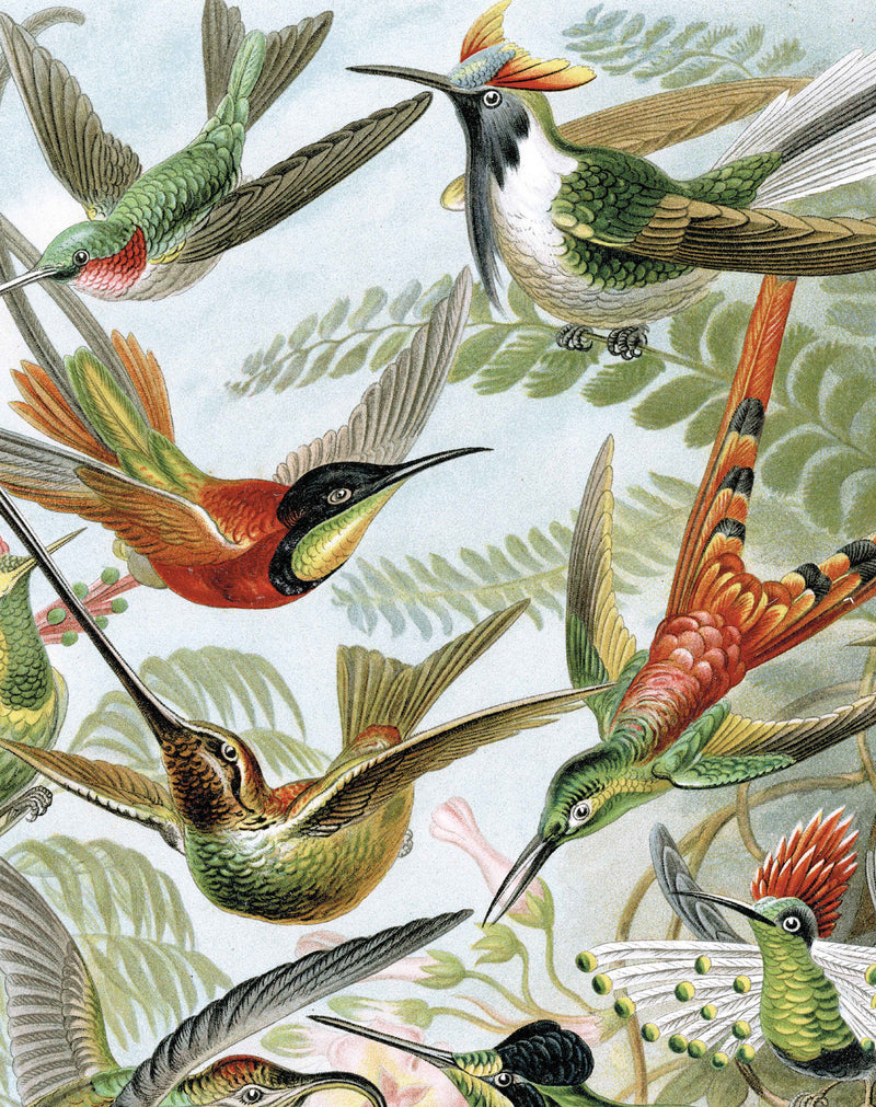 media image for Exotic Birds 023 Wallpaper Panel by KEK Amsterdam 275