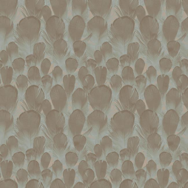 Shop Sample Feathers Wallpaper in Brown and Soft Turquoise from the