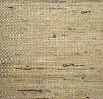product image for Fine Arrowroot Wallpaper in Ivory from the Winds of the Asian Pacific Collection by Burke Decor 20
