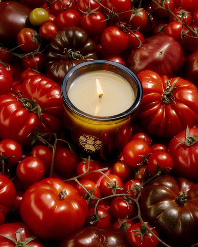 product image for Roma Heirloom Tomato Candle 53