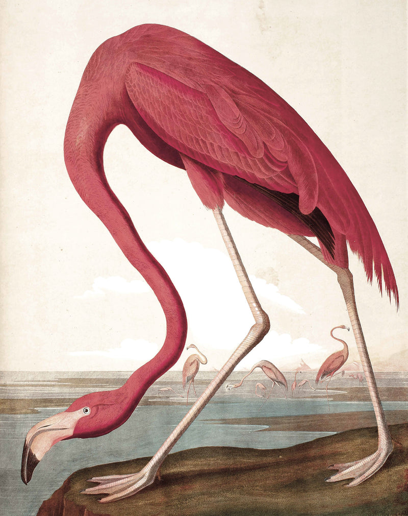 media image for Flamingo 012 Wallpaper Panel by KEK Amsterdam 285