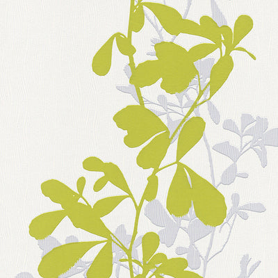 product image of Foliage Wallpaper in Green and Grey design by BD Wall 566