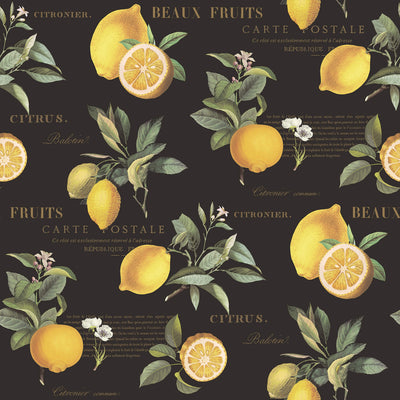 product image of Citron Botanical Black/Yellow Wallpaper from the Just Kitchens Collection by Galerie Wallcoverings 56