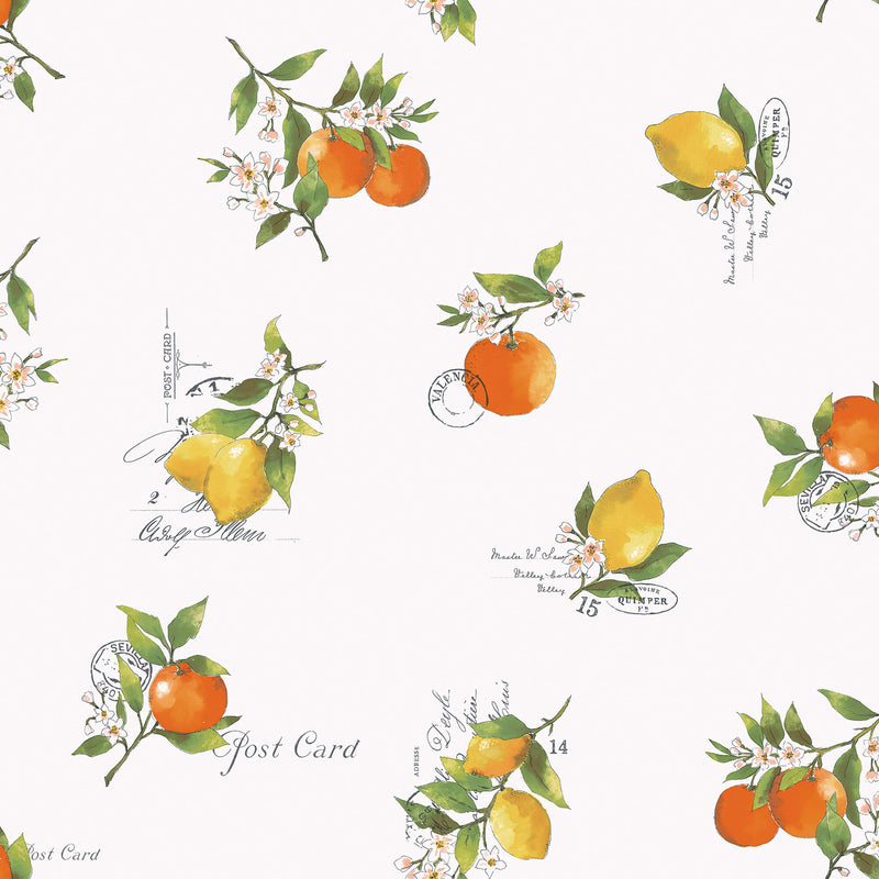 media image for Citrus Toss Orange/Green Wallpaper from the Just Kitchens Collection by Galerie Wallcoverings 297