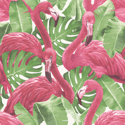 product image of Flamingos Pink Wallpaper from the Global Fusion Collection by Galerie Wallcoverings 590