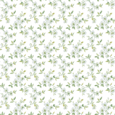 product image of Anemone Mini Duck Egg Wallpaper from the Secret Garden Collection by Galerie Wallcoverings 572
