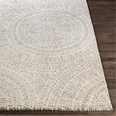 product image for Gavic GVC-2306 Rug in Beige & Light Grey by Surya 91