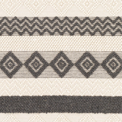product image for Hygge HYG-2301 Hand Woven Rug in Charcoal & White by Surya 75