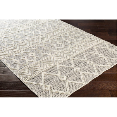 product image for Hygge HYG-2305 Hand Woven Rug in Charcoal & White by Surya 20