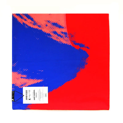 product image for Andy Warhol Art Pillow in Red & Blue design by Henzel Studio 73