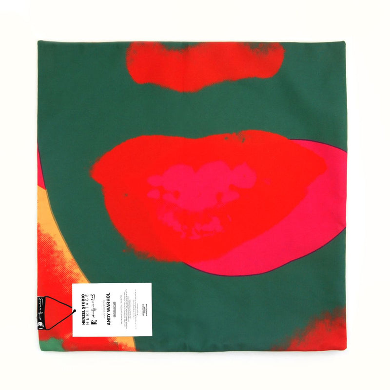 media image for Andy Warhol Art Pillow in Red & Green design by Henzel Studio 273