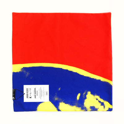 product image for Andy Warhol Art Pillow in Red, Blue, & Yellow design by Henzel Studio 2