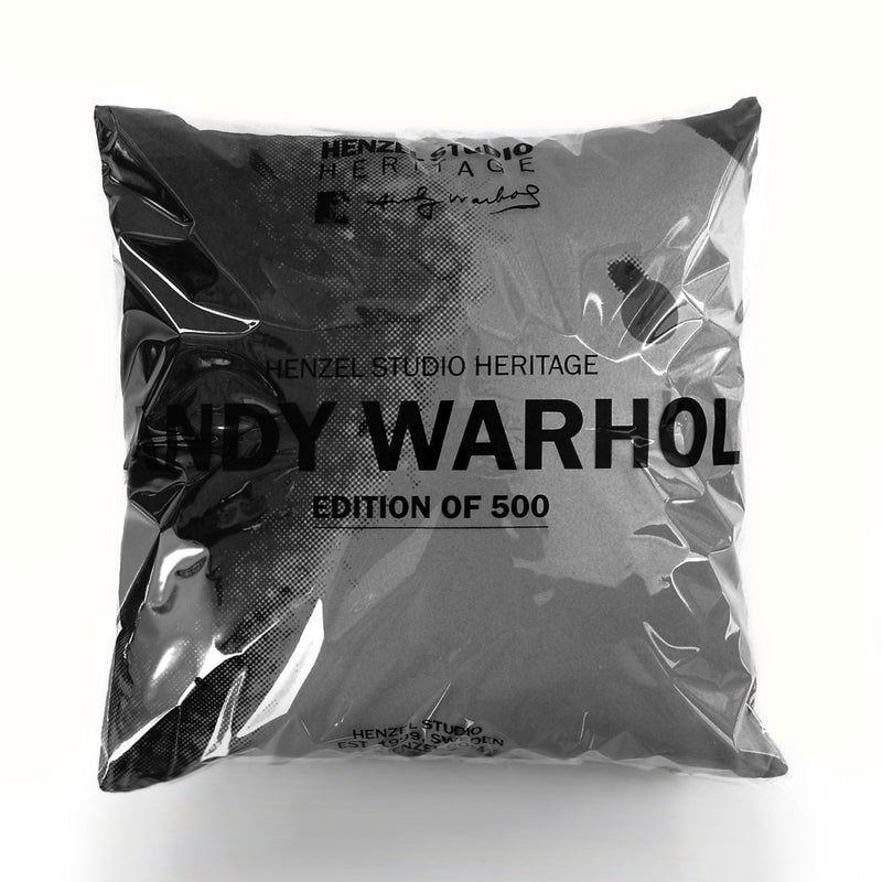 media image for Andy Warhol Art Pillow in Black & Grey design by Henzel Studio 216