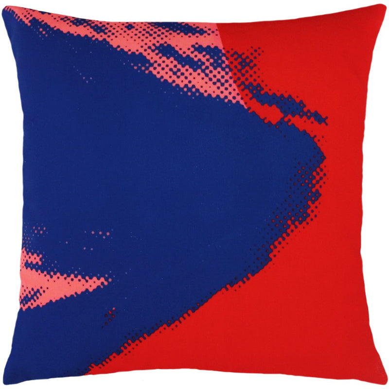 media image for Andy Warhol Art Pillow in Red & Blue design by Henzel Studio 286