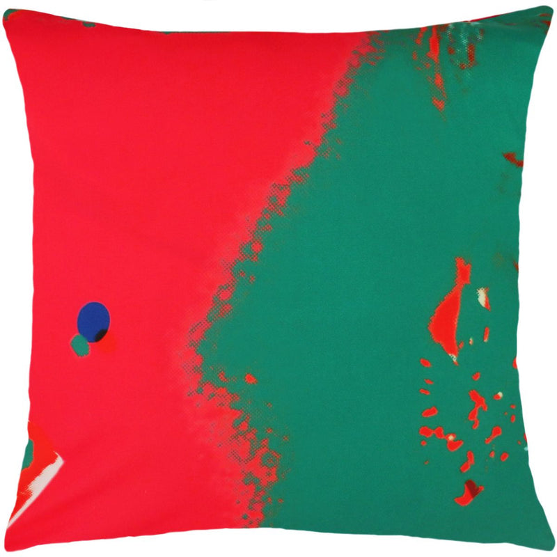 media image for Andy Warhol Art Pillow in Red & Green design by Henzel Studio 224