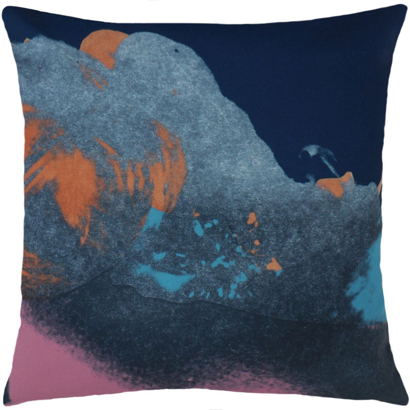 media image for Andy Warhol Art Pillow in Pink & Blue design by Henzel Studio 287