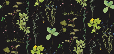 product image for Herbario Wallpaper in Botanical design by Aimee Wilder 17