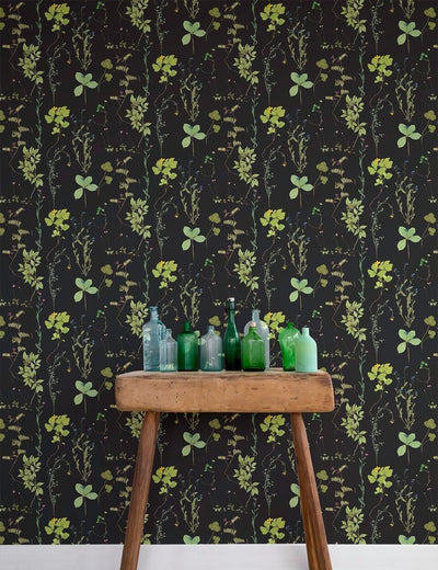 product image of Herbario Wallpaper in Botanical design by Aimee Wilder 591