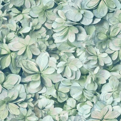 product image for Hydrangea Bloom Peel & Stick Wallpaper in Green and Blue by RoomMates for York Wallcoverings 24
