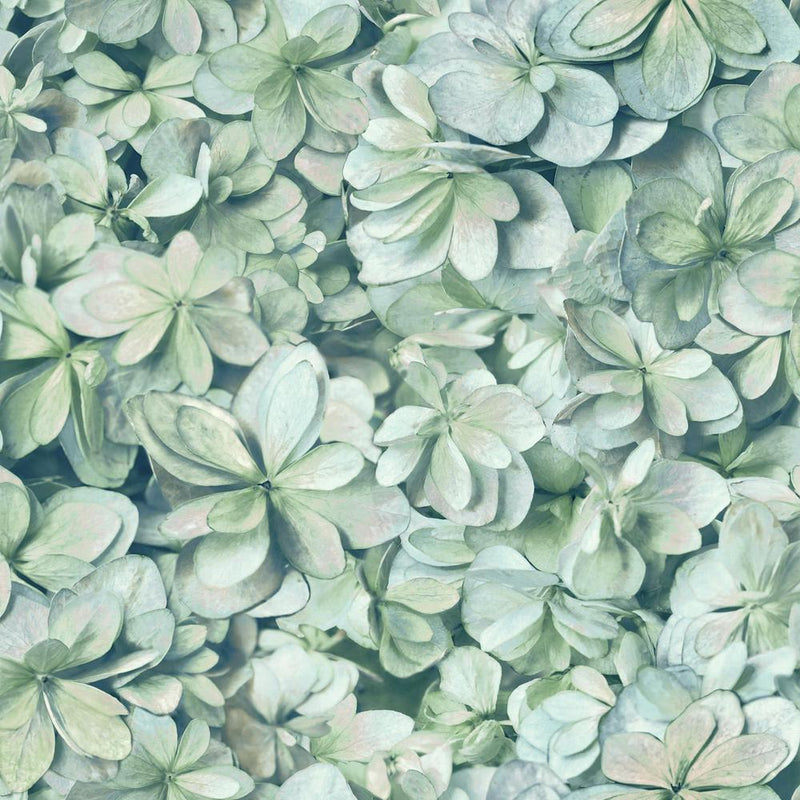 media image for Hydrangea Bloom Peel & Stick Wallpaper in Green and Blue by RoomMates for York Wallcoverings 262