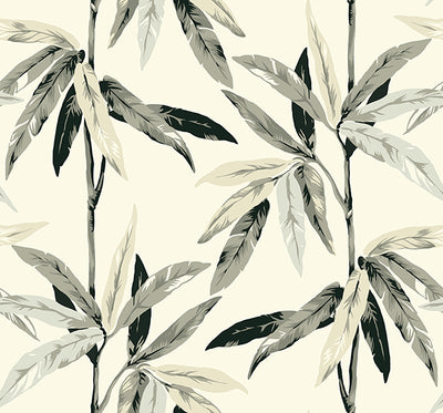 product image of Janson Floral Wallpaper in Metallic, Black, and Ivory by Carl Robinson for Seabrook Wallcoverings 593