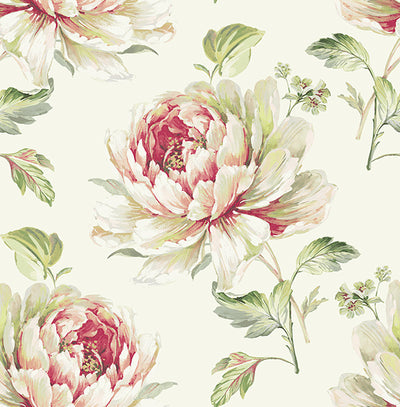 product image of Jarrow Floral Wallpaper in Ivory and Reds by Carl Robinson for Seabrook Wallcoverings 556