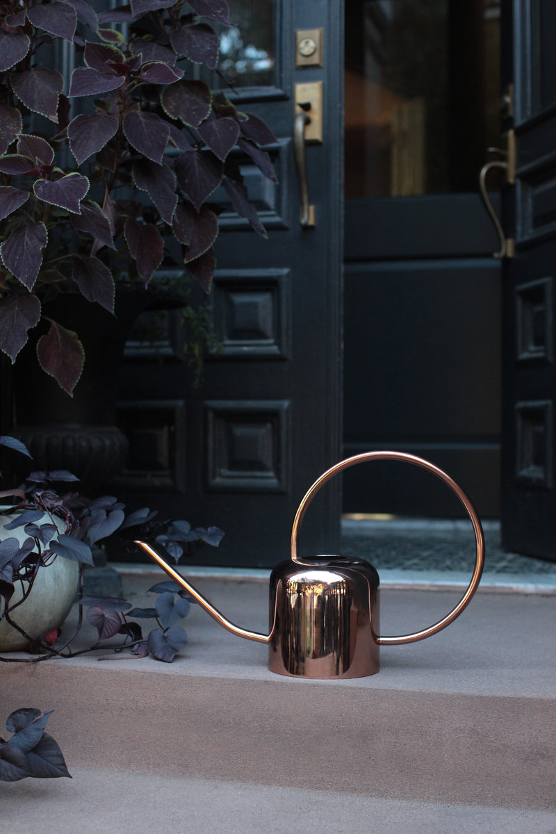 media image for Copper Watering Can 21