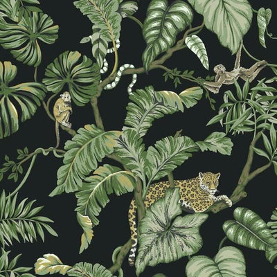 product image of Jungle Cat Wallpaper in Black from the Traveler Collection by Ronald Redding 576