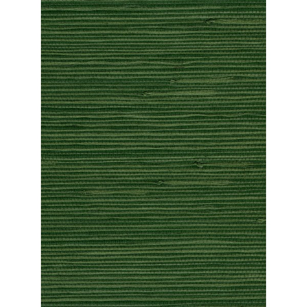 media image for Jute Grasscloth Wallpaper in Dark Green from the Natural Resource Collection by Seabrook Wallcoverings 265