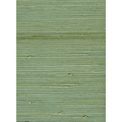 product image of Jute Grasscloth Wallpaper in Green from the Natural Resource Collection by Seabrook Wallcoverings 529