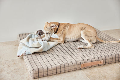 product image for kaya dog blanket medium 9 74