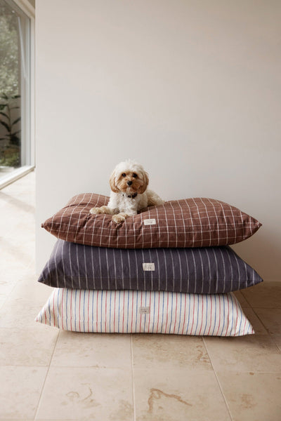 product image for kyoto dog cushion choko 6 85