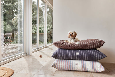 product image for kyoto dog cushion choko 8 13