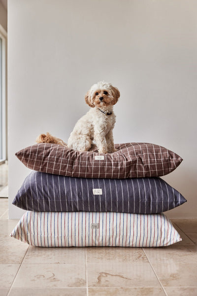 product image for kyoto dog cushion anthracite 5 51