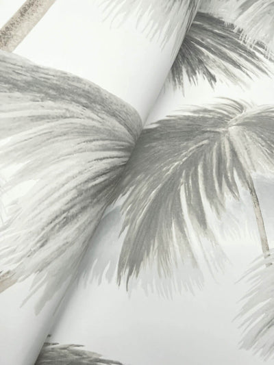 product image for Plein Air Palms Wallpaper in Black & White 92
