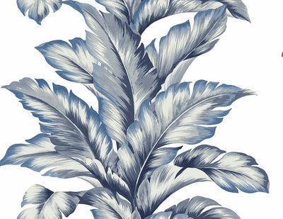 product image of Banana Springs Wallpaper in Coastal Blue 587