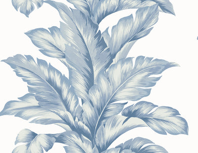 product image of Banana Springs Wallpaper in Blue Skies 536