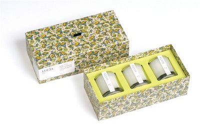 product image of Lucia Wild Ginger & Fresh Figs Soap design by Lucia 510