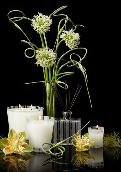 product image for lemongrass ginger scented candle design by nest fragrances 3 9