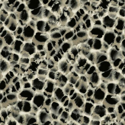product image of Leopard Rosettes Wallpaper in Black from the Traveler Collection by Ronald Redding 576