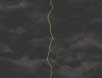 product image for Lightning Wallpaper in Gunmetal, Silver, and Black from the Aerial Collection by Mayflower  31