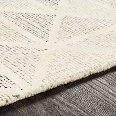 product image for Melody MDY-2004 Hand Tufted Rug in Cream & Charcoal by Surya 60