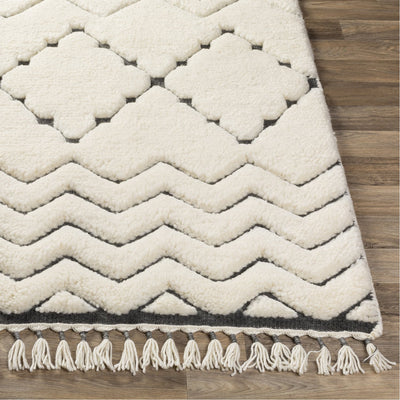 product image for Meknes MEK-1002 Hand Knotted Rug in Cream & Charcoal by Surya 57