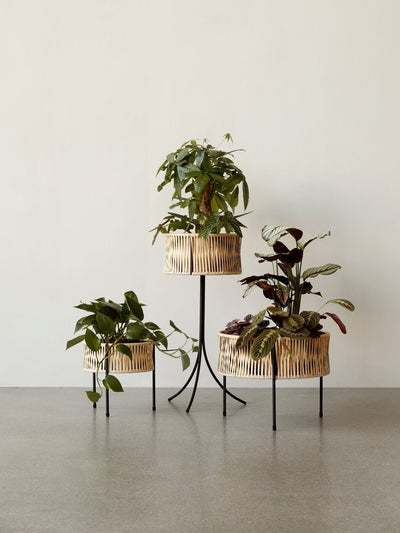 product image for umanoff planter set of 3 by menu 5712999 1 62